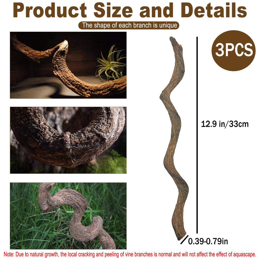 BNOSDM Reptile Decor Branch Forest hand-selected branches with unique shapes
