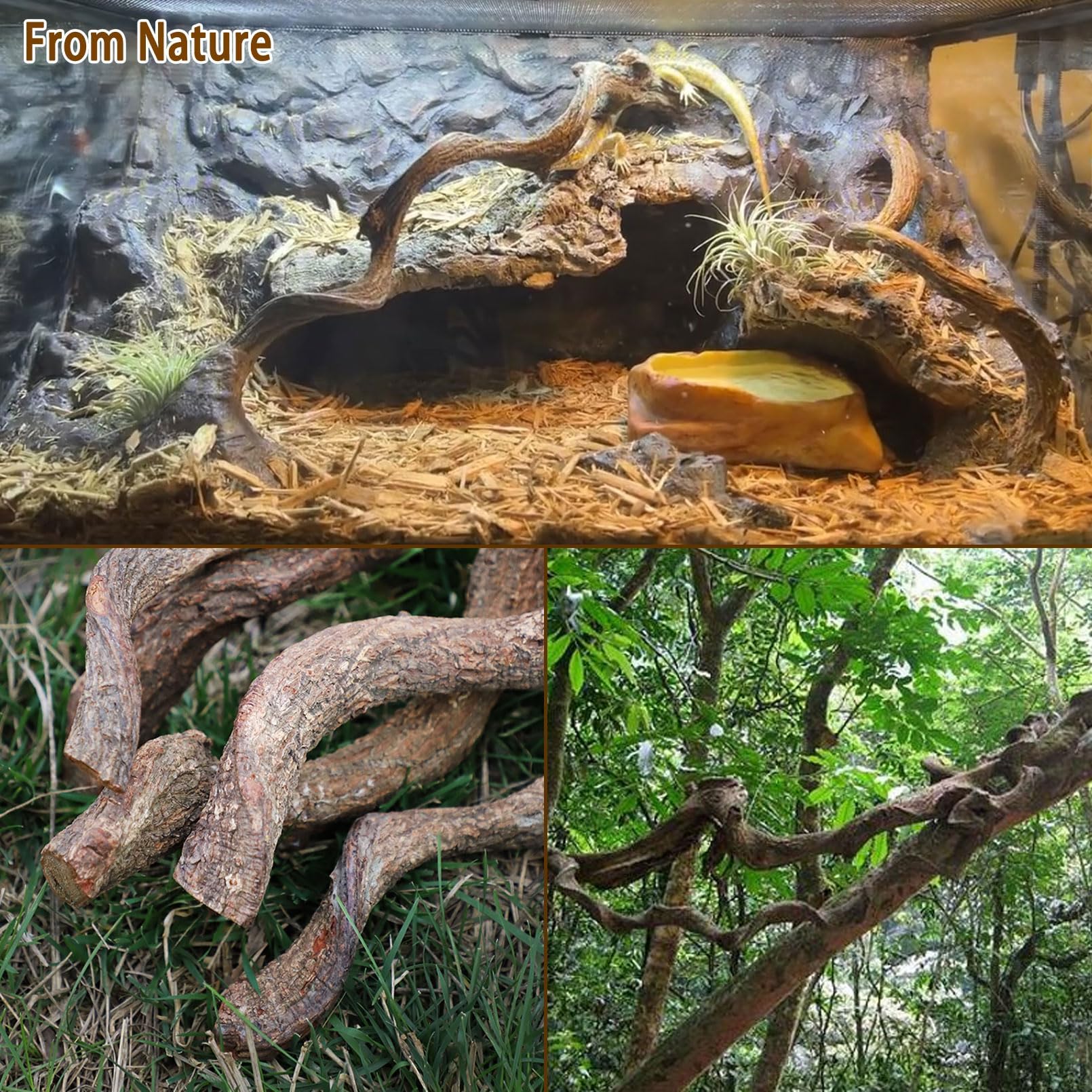 BNOSDM Reptile Decor Branch Forest sized about 12.99 inches for setups