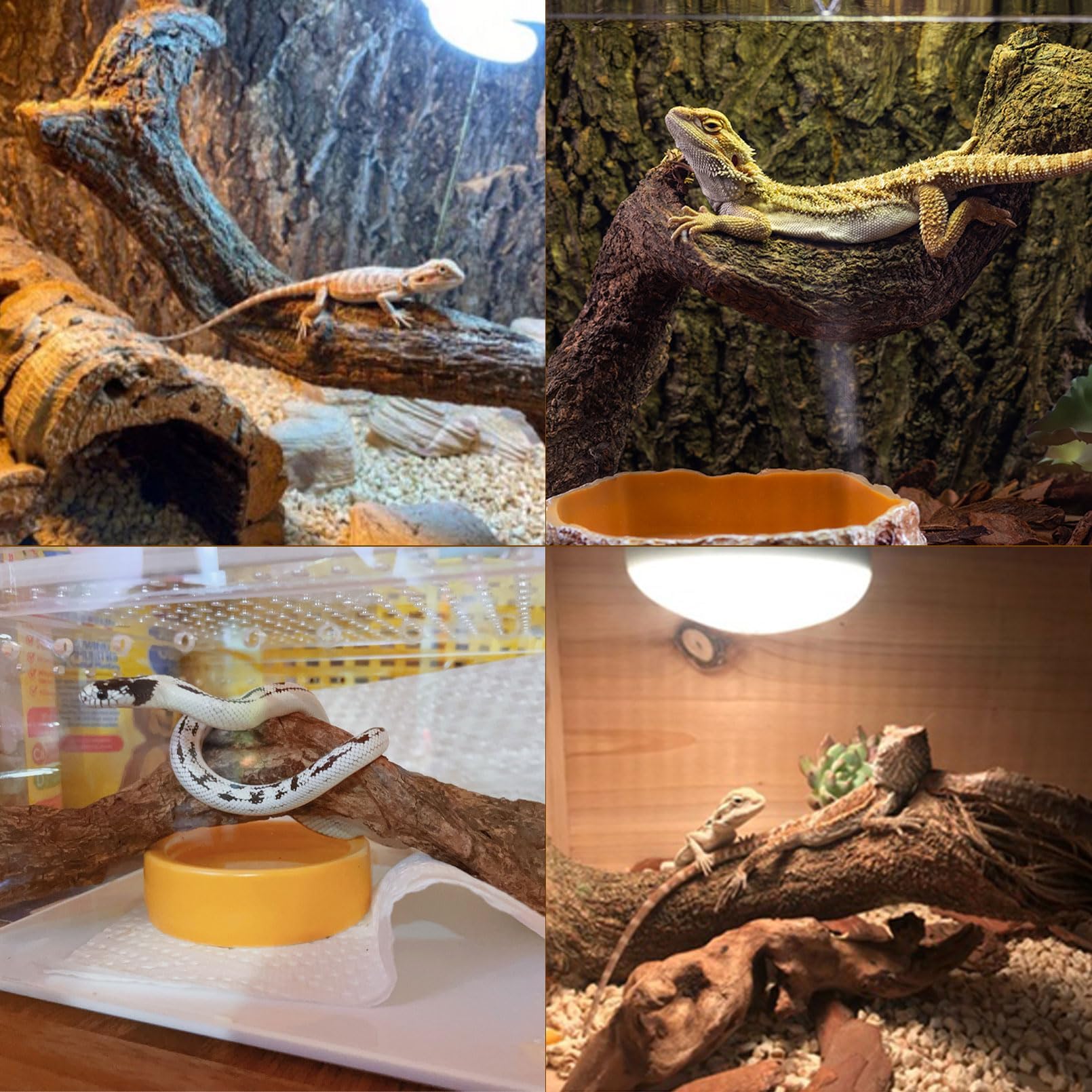 BNOSDM Reptile Decor Branch Forest safe durable natural vine wood