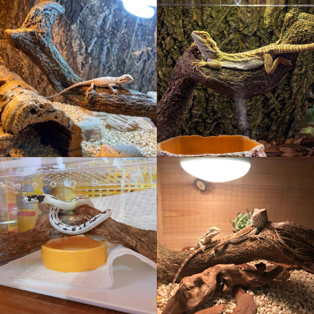 BNOSDM Reptile Decor Branch Forest safe durable natural vine wood