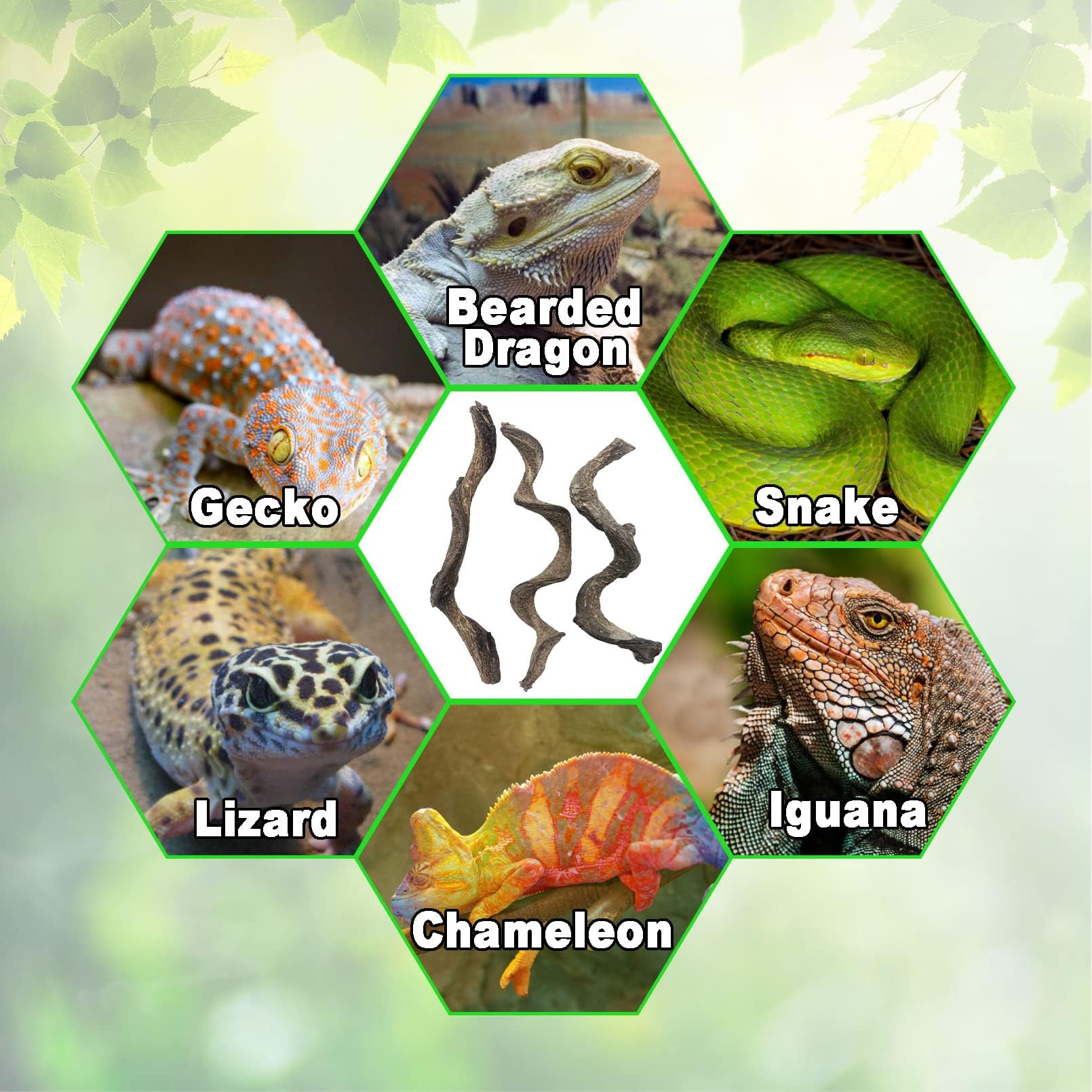 BNOSDM Reptile Decor Branch Forest adds natural beauty to enclosures