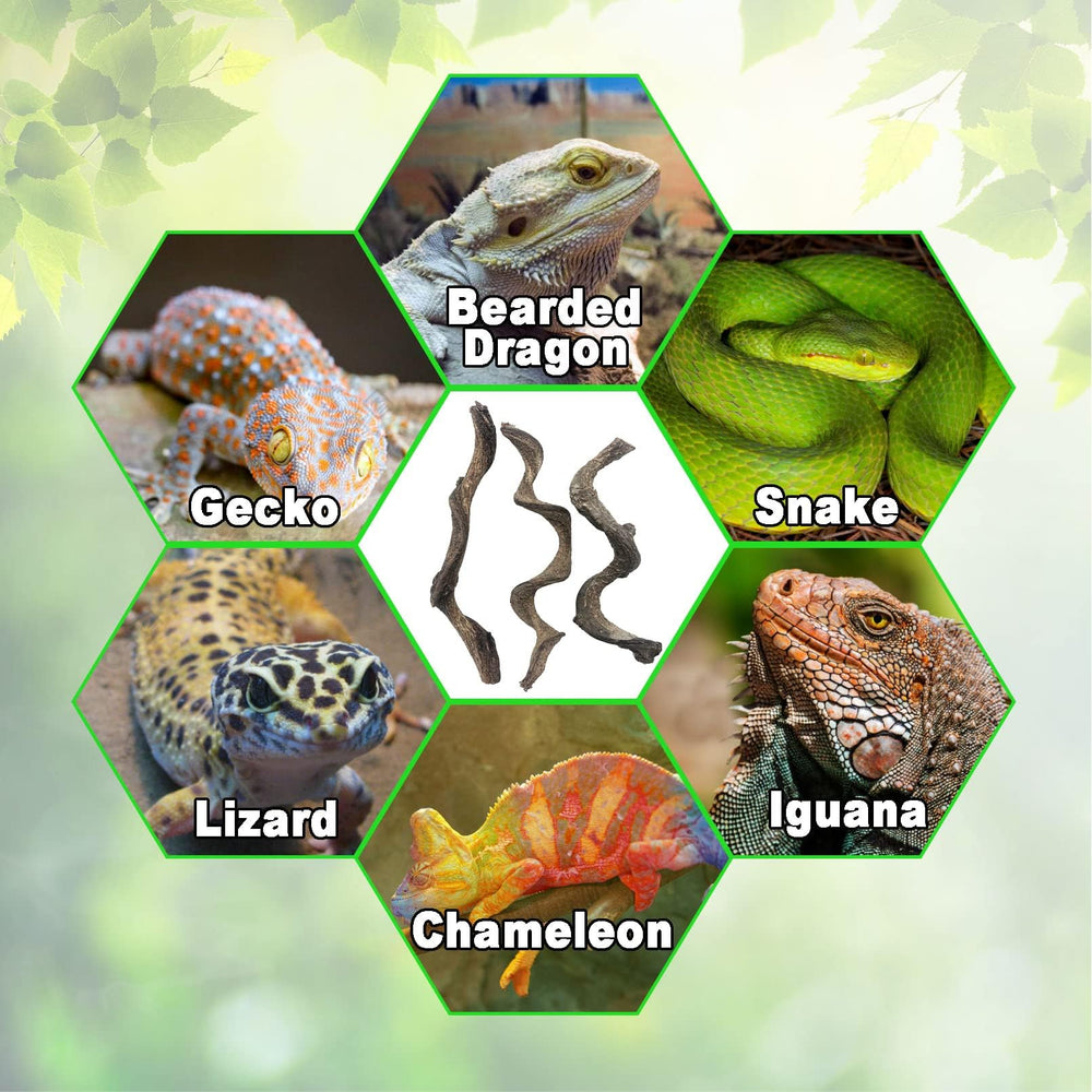 BNOSDM Reptile Decor Branch Forest adds natural beauty to enclosures