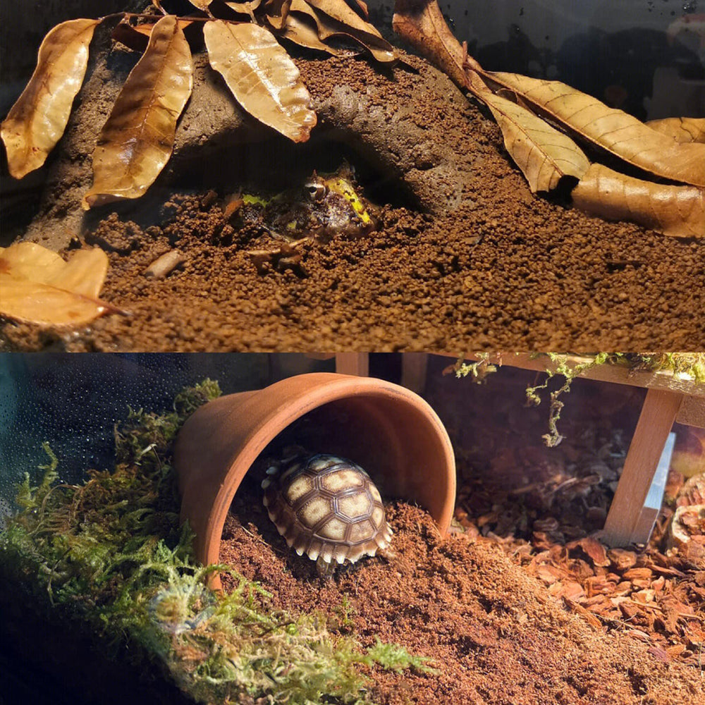 BNOSDM reptile soil substrate close-up texture indicates natural digging-ready material