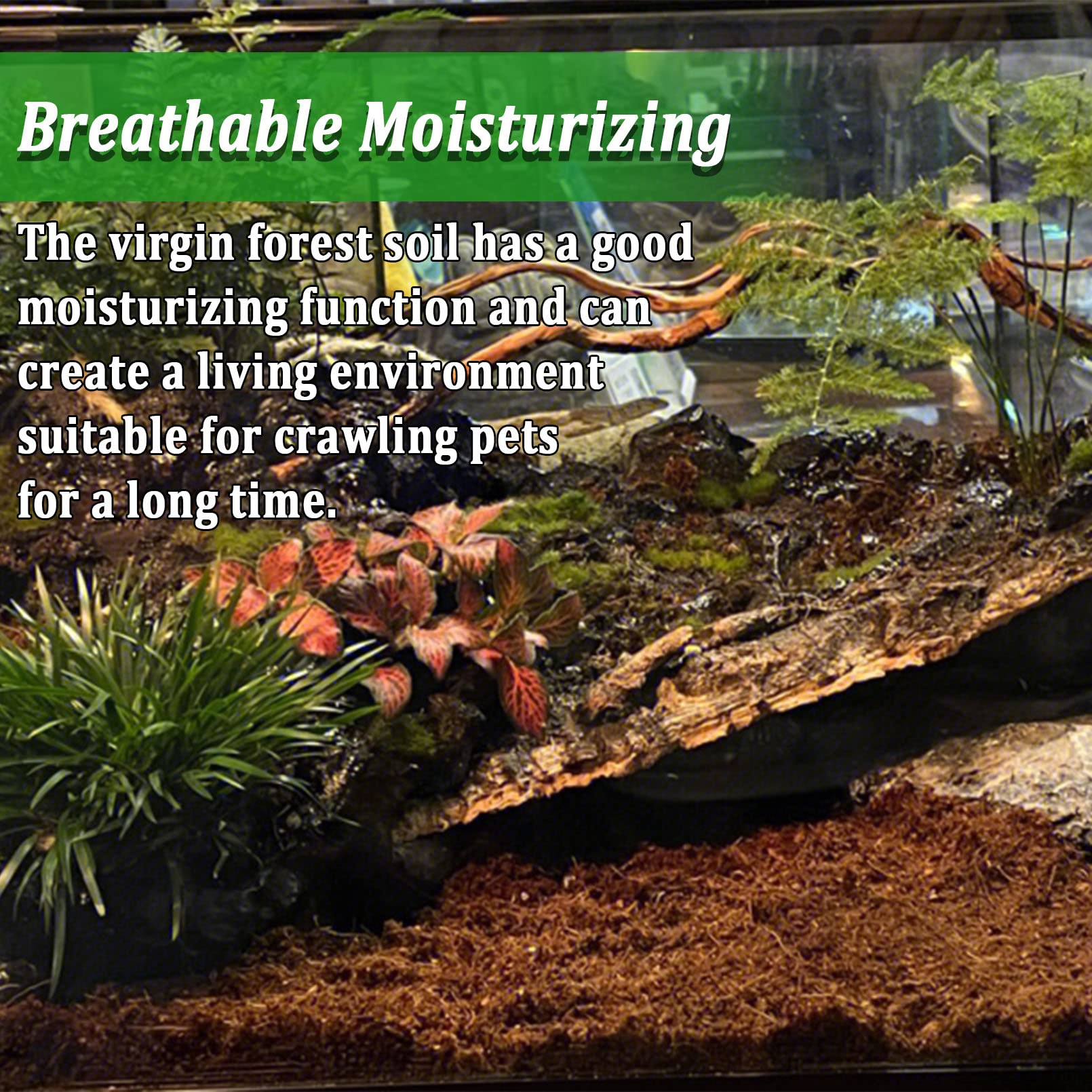 BNOSDM reptile soil substrate digging-behavior close-up shows natural burrowing
