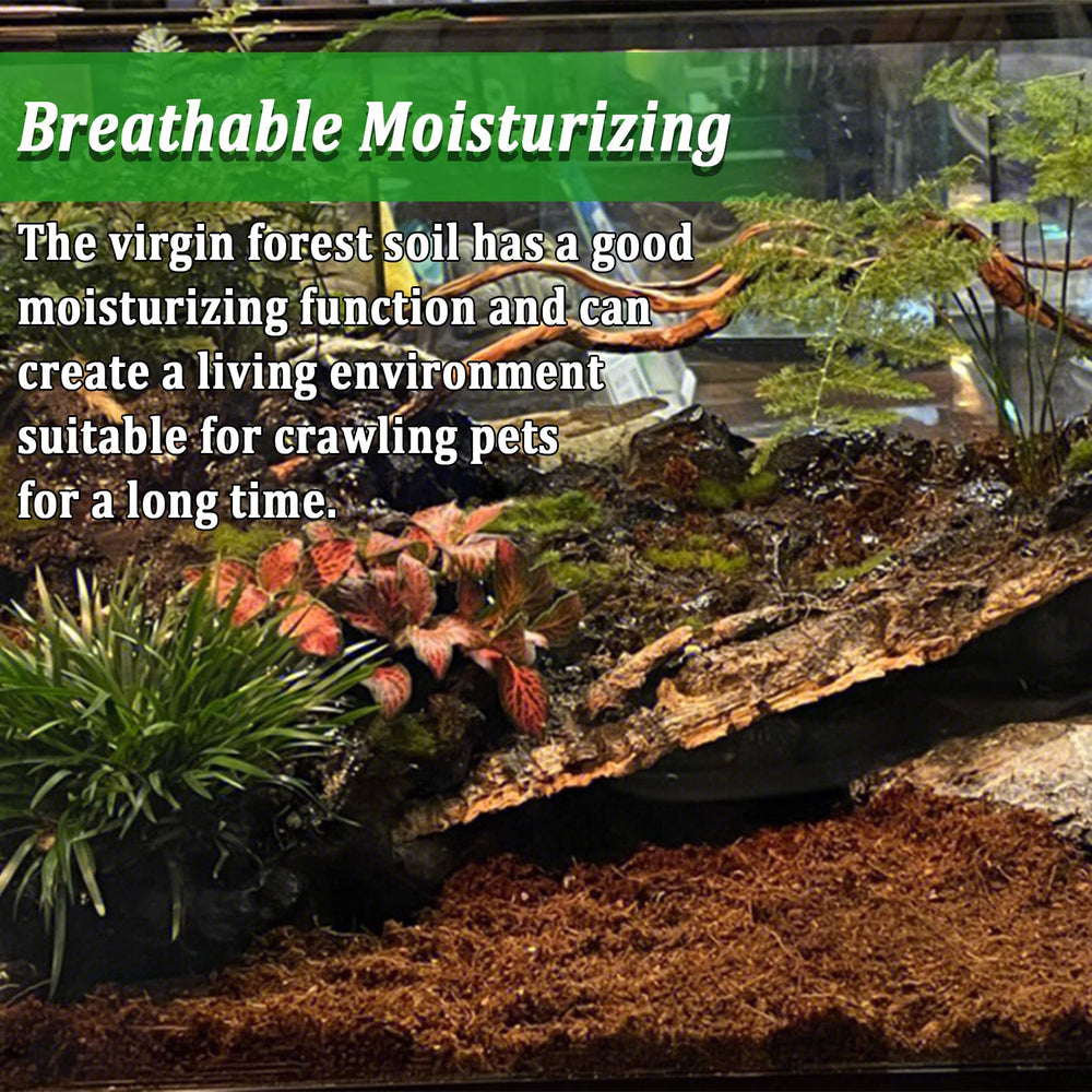 BNOSDM reptile soil substrate digging-behavior close-up shows natural burrowing
