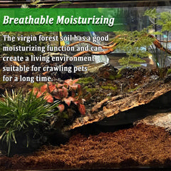 BNOSDM reptile soil substrate digging-behavior close-up shows natural burrowing