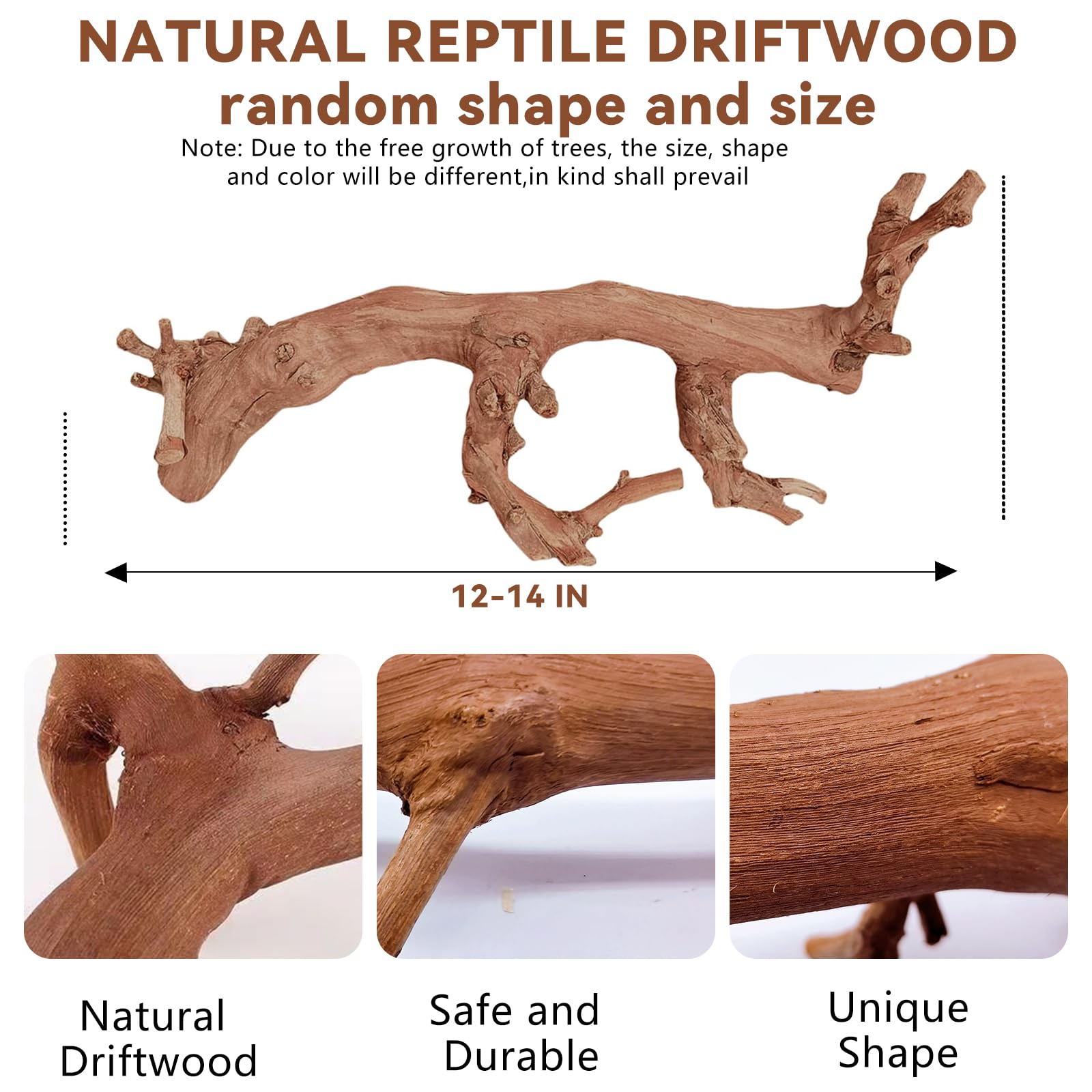 BNOSDM reptile wood branch natural texture highlighting realistic habitat aesthetic.
