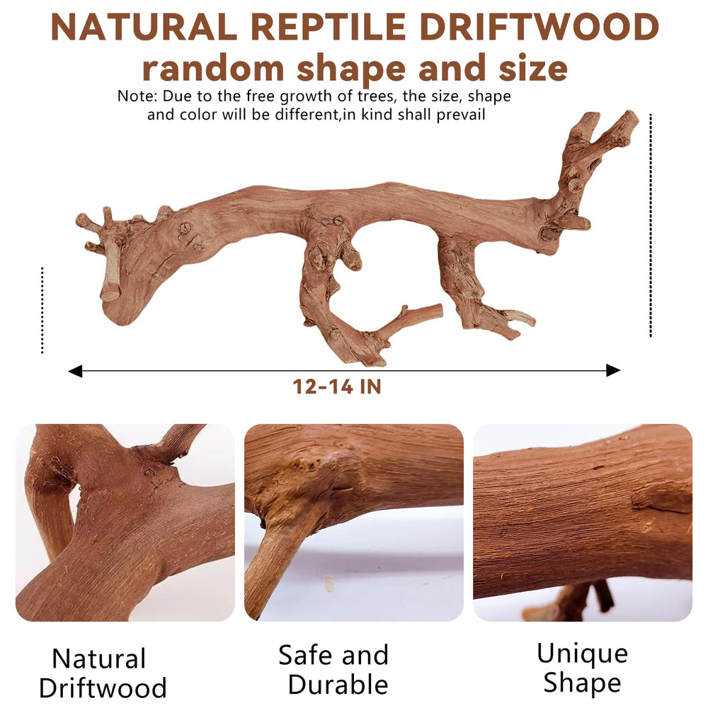 BNOSDM reptile wood branch natural texture highlighting realistic habitat aesthetic.