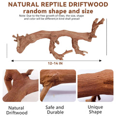 BNOSDM reptile wood branch natural texture highlighting realistic habitat aesthetic.