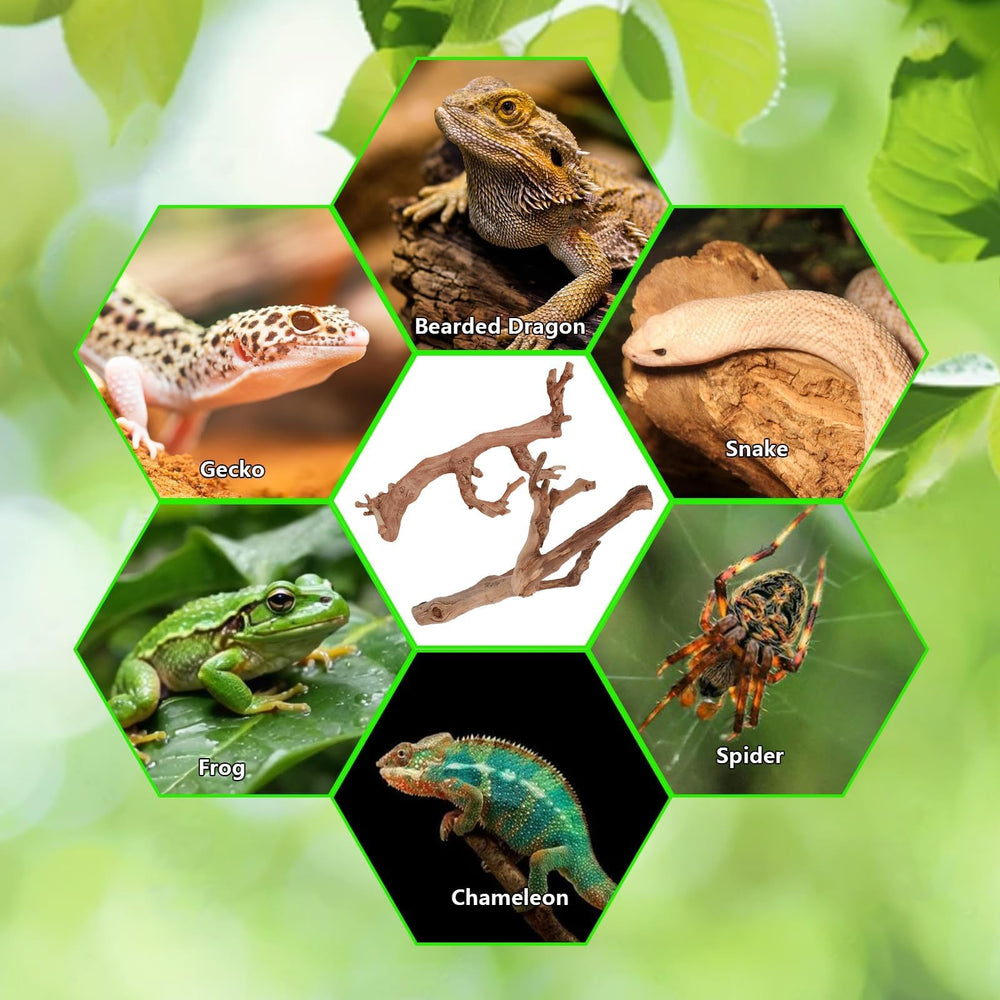 BNOSDM reptile wood branch packaging image shows 2-piece set ready-to-use.