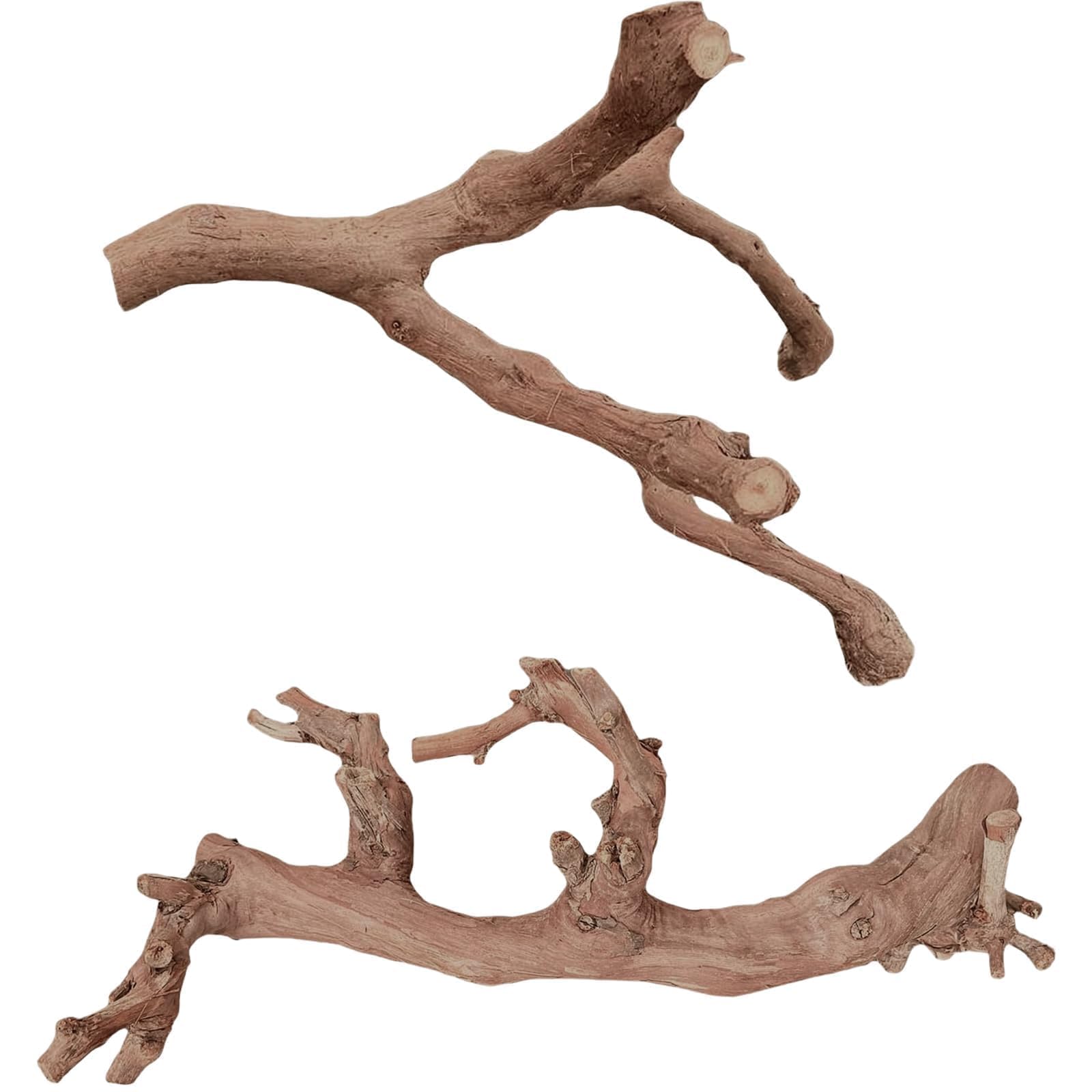 BNOSDM reptile wood branch pair pack for terrarium setup provides natural climbing decor.