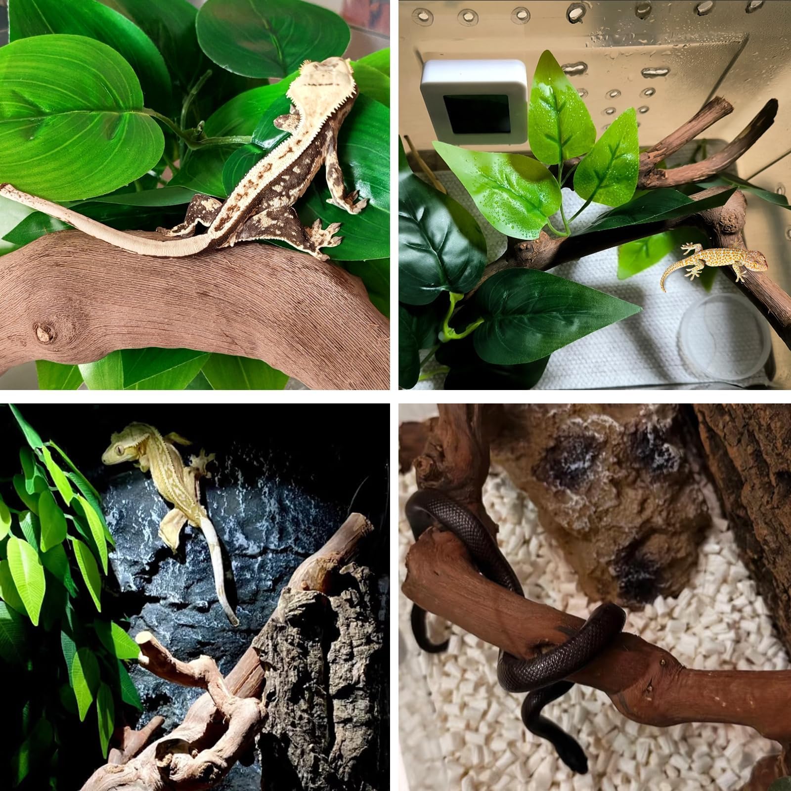 BNOSDM reptile wood branch size variation demonstrates unique natural forms.