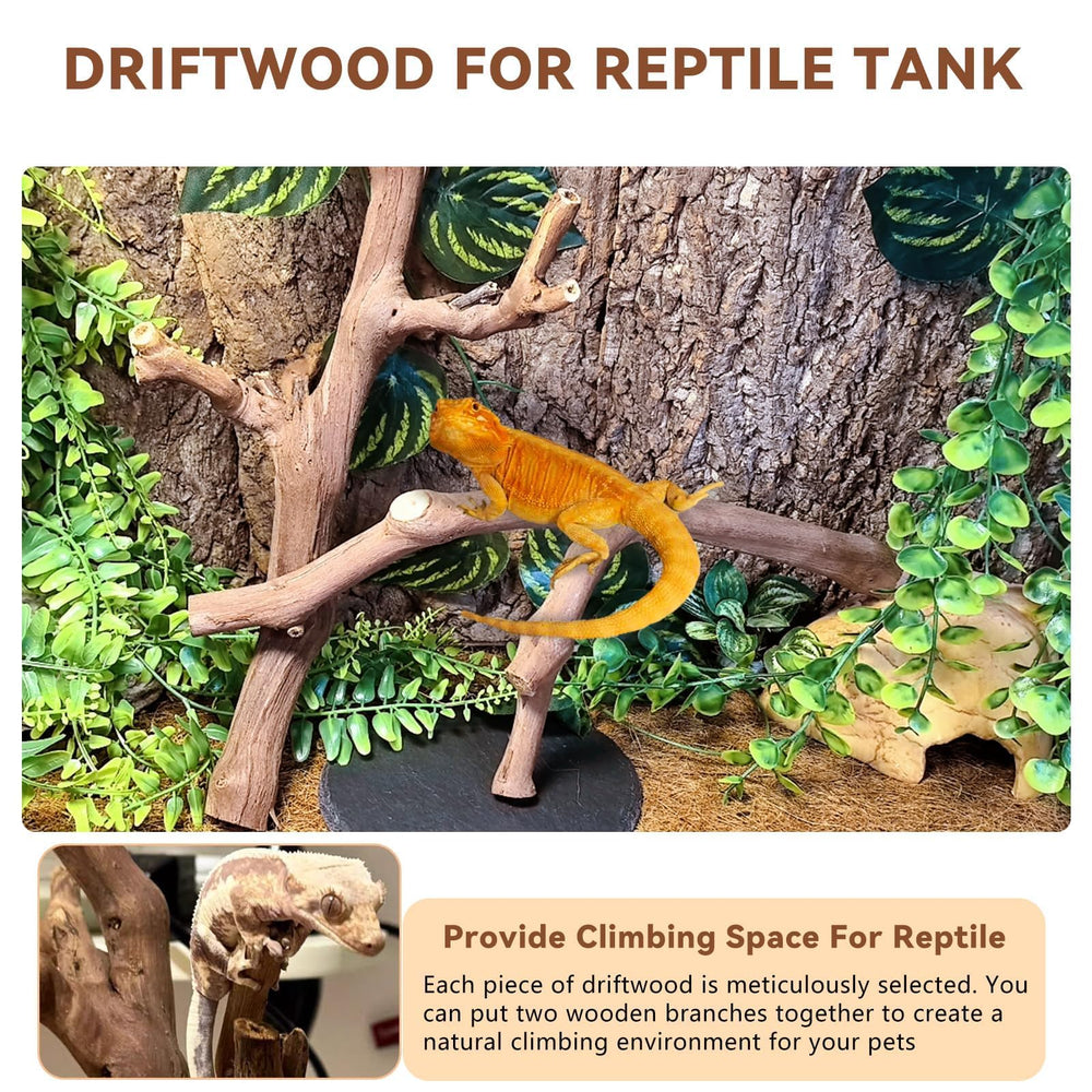 BNOSDM reptile wood branch terrarium decor closeup showing safe natural wood texture.