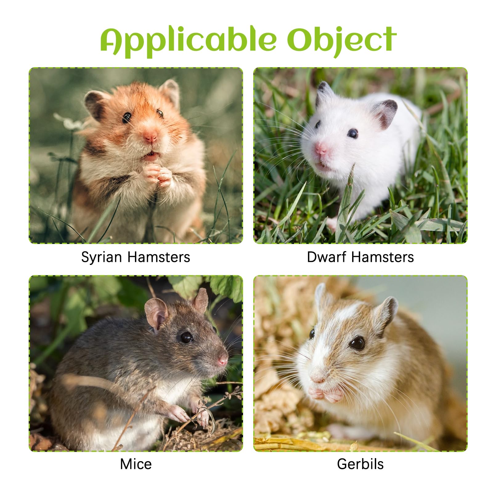 BNOSDM small-pet habitat accessory complements glass tanks and cages.