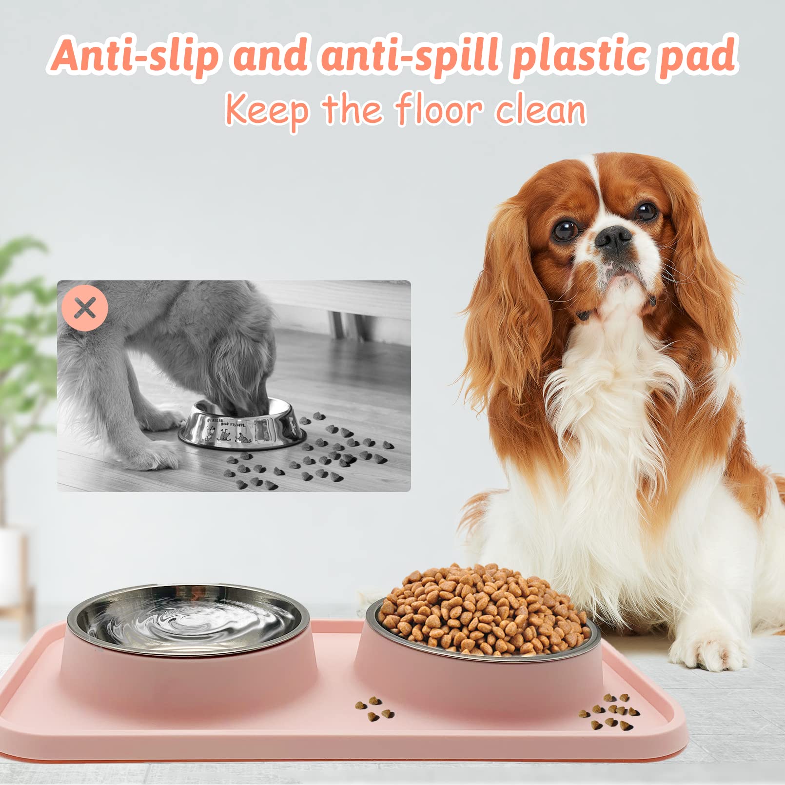 BNOSDM stainless-steel bowls closeup highlights durable design for long-lasting pet meals
