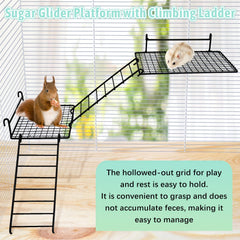BNOSDM stainless steel perches closeup highlights durability and easy cleaning.