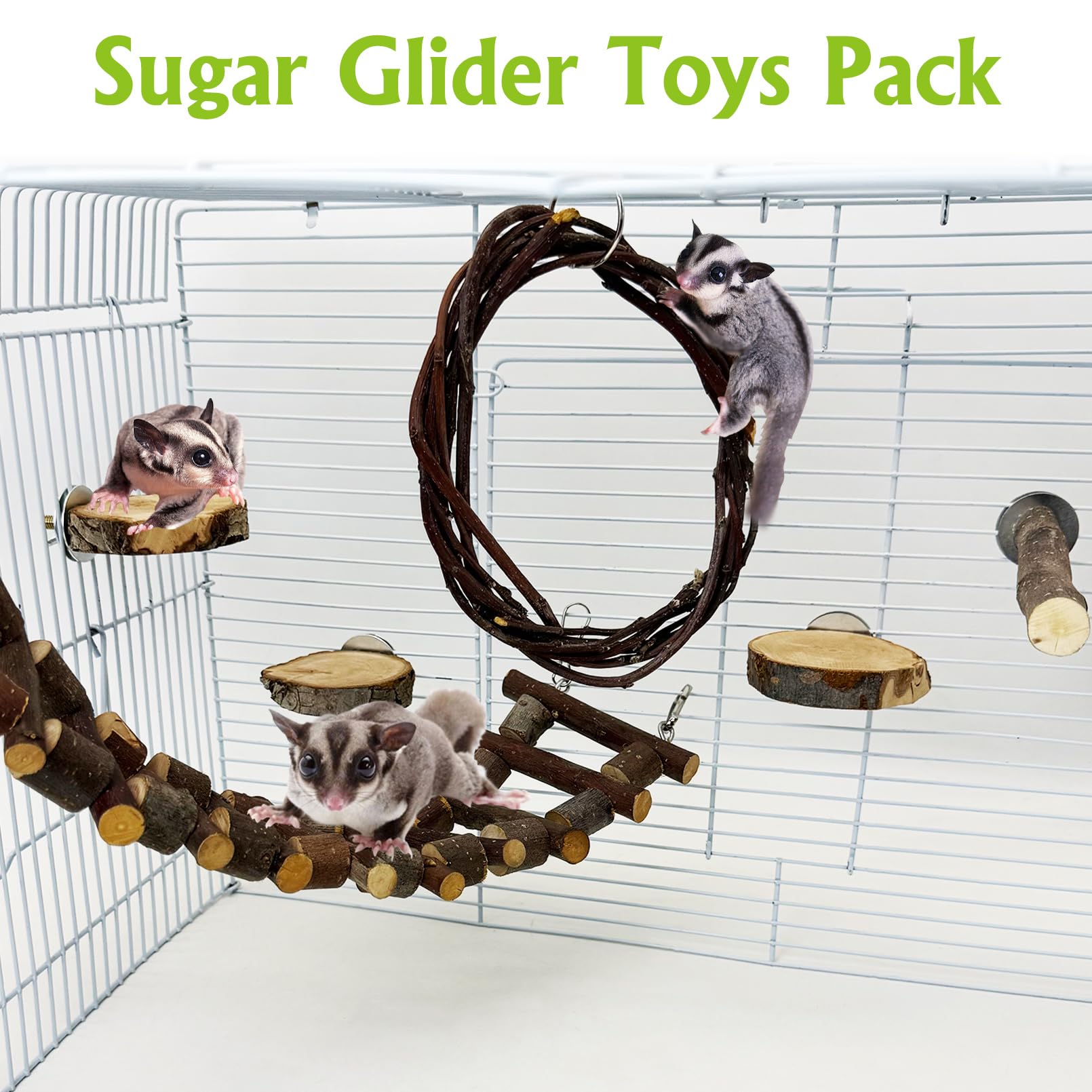 BNOSDM Sugar Glide swing provides multi-sensory enrichment and interactive play.
