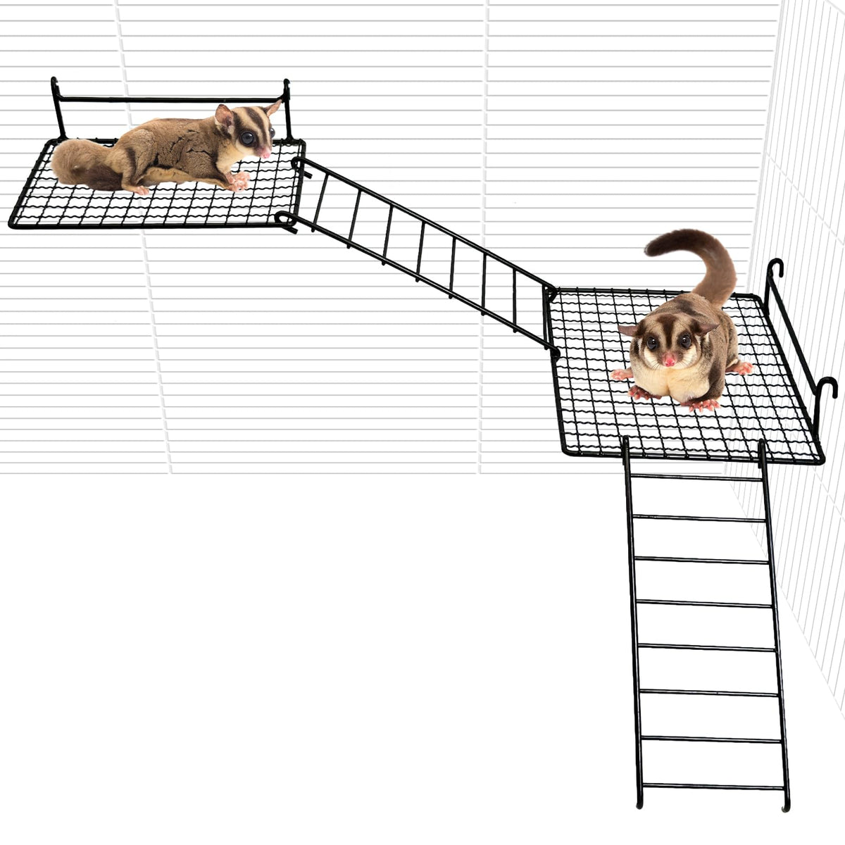 BNOSDM sugar glider platform front view enhances ventilation and multi-level play in small cages.
