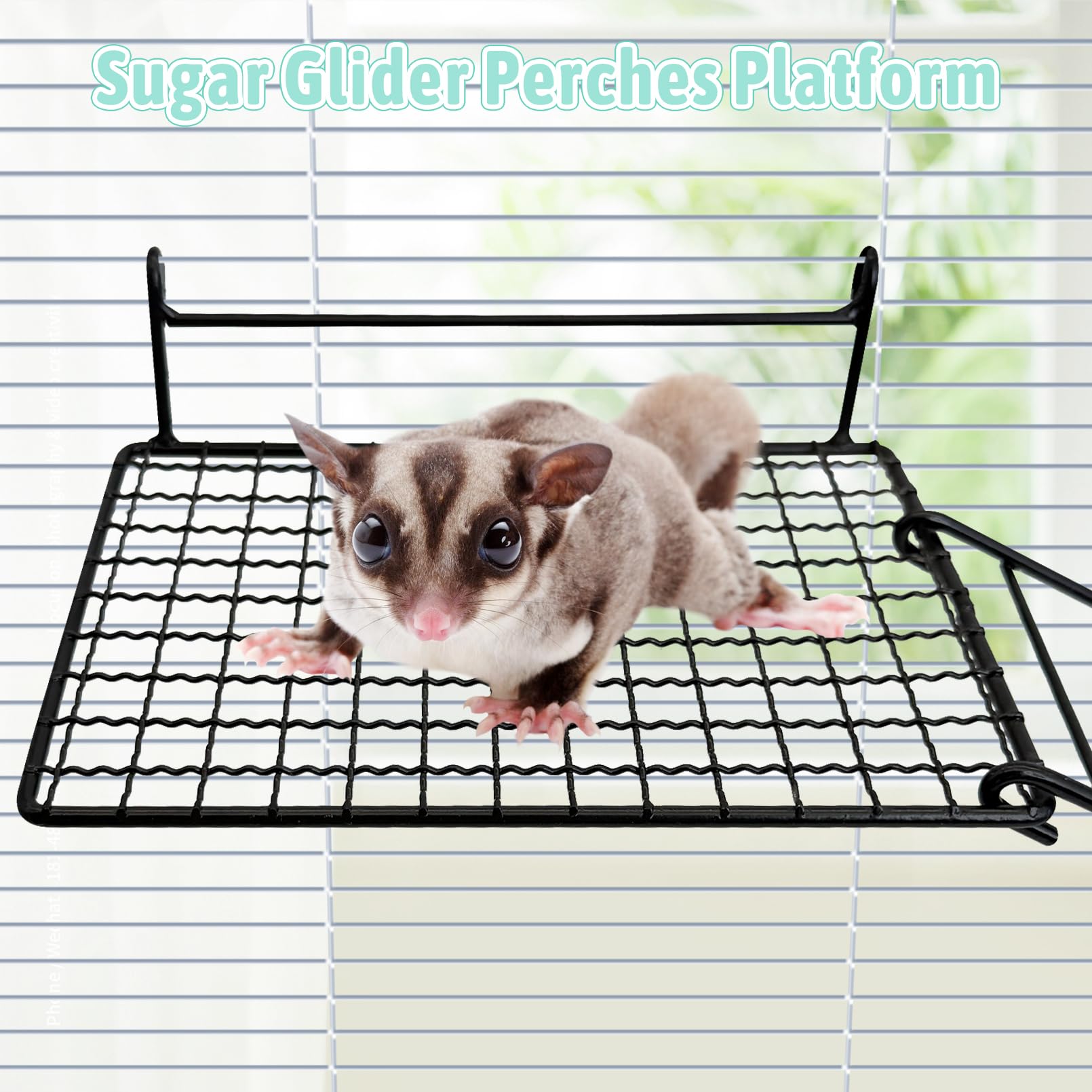 BNOSDM sugar glider platform side view shows sturdy design for climbing and rest.