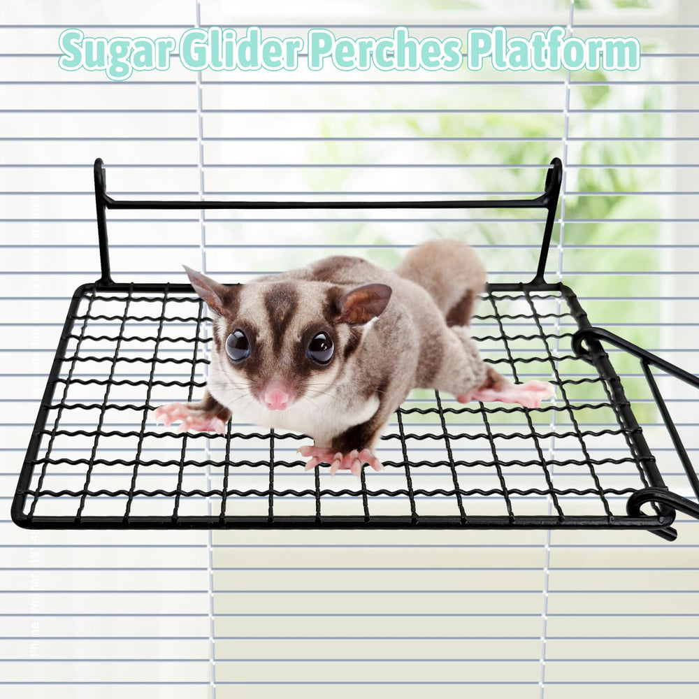 BNOSDM sugar glider platform side view shows sturdy design for climbing and rest.