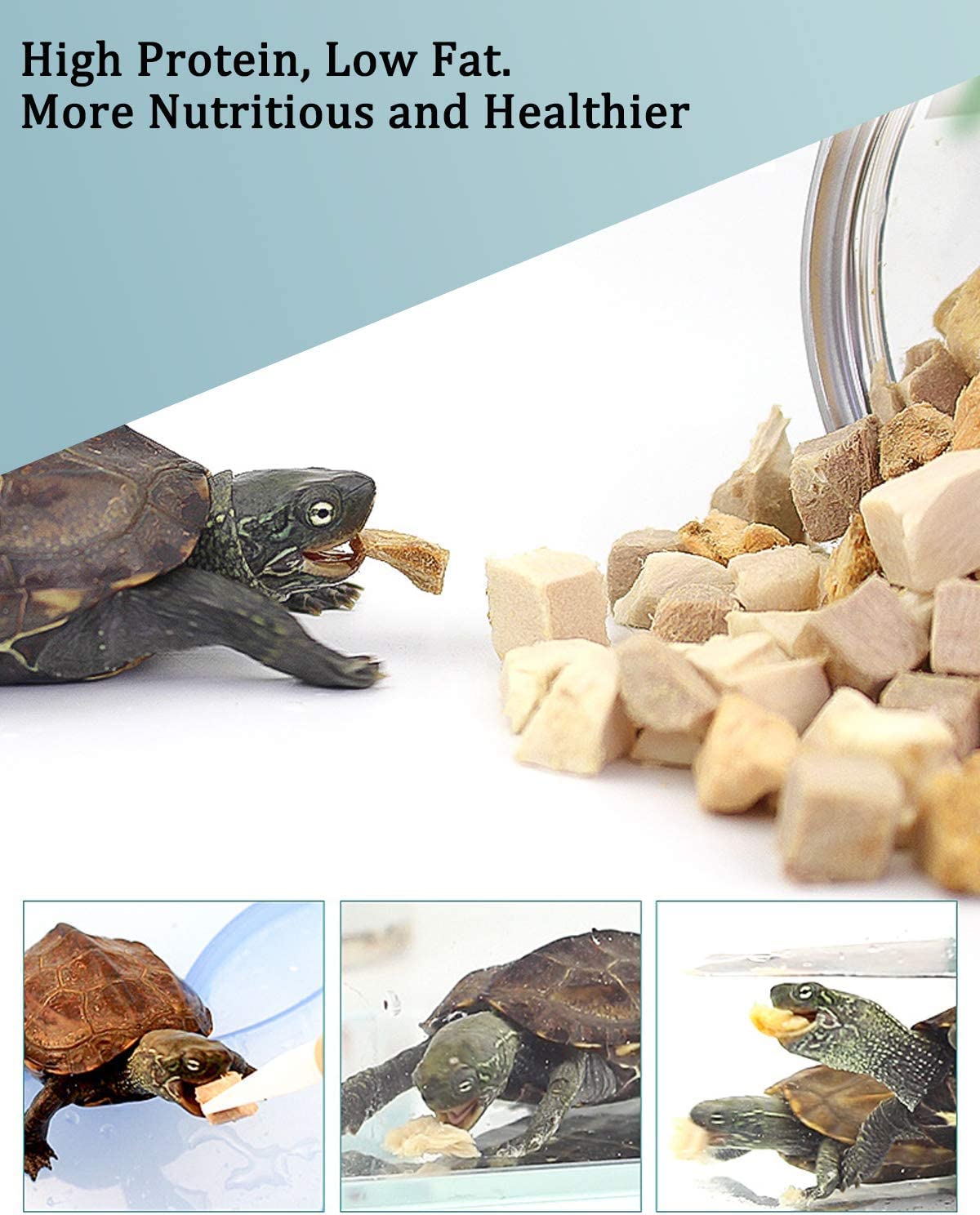BNYEE 3in-1 turtle treats pour-serve image shows easy portioning for feeding.