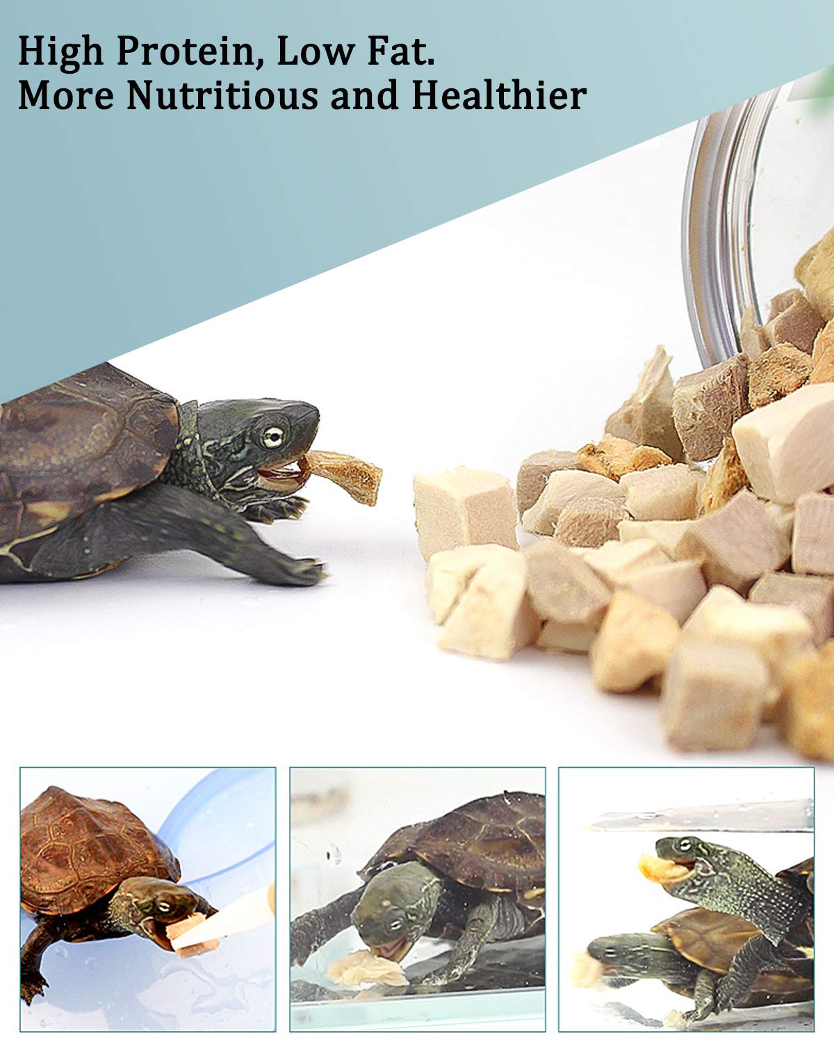 Duck chunk morsels from BNYEE 3 in 1 Turtle Food