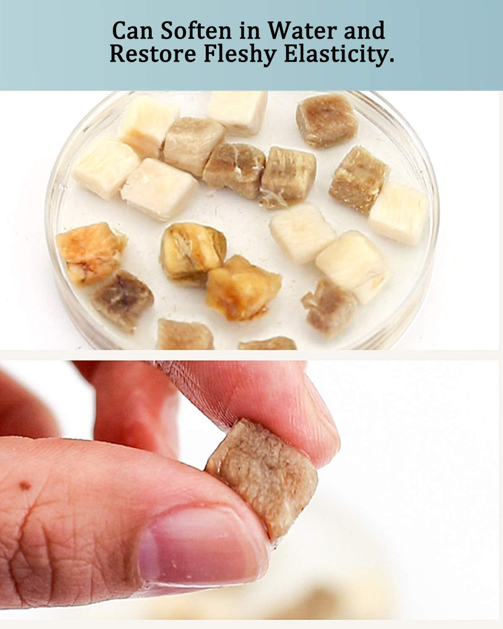 BNYEE turtle treats soaking in water to soften texture