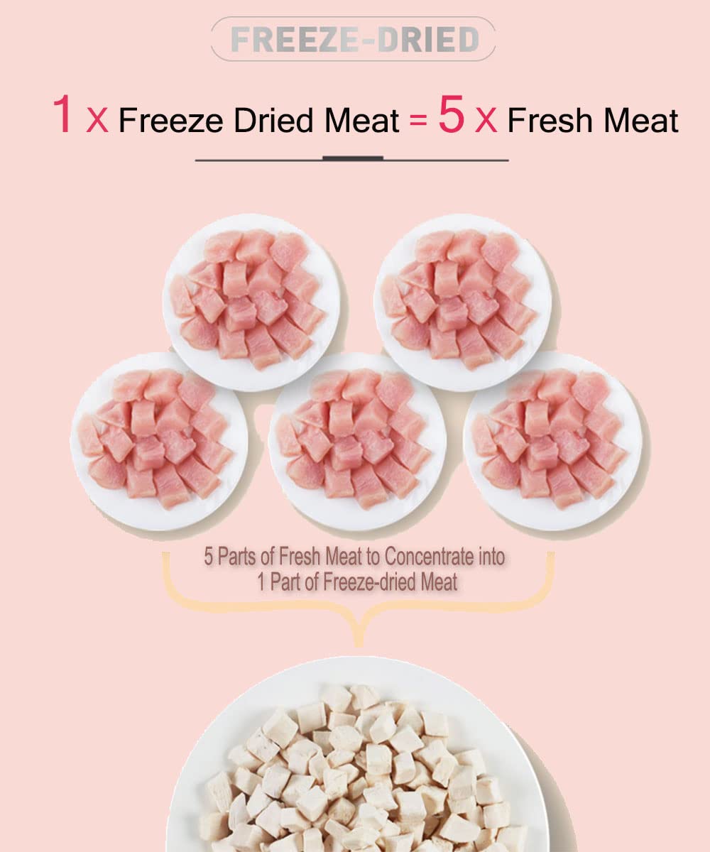 BNYEE freeze-dried chicken treat crunch close-up highlighting texture.