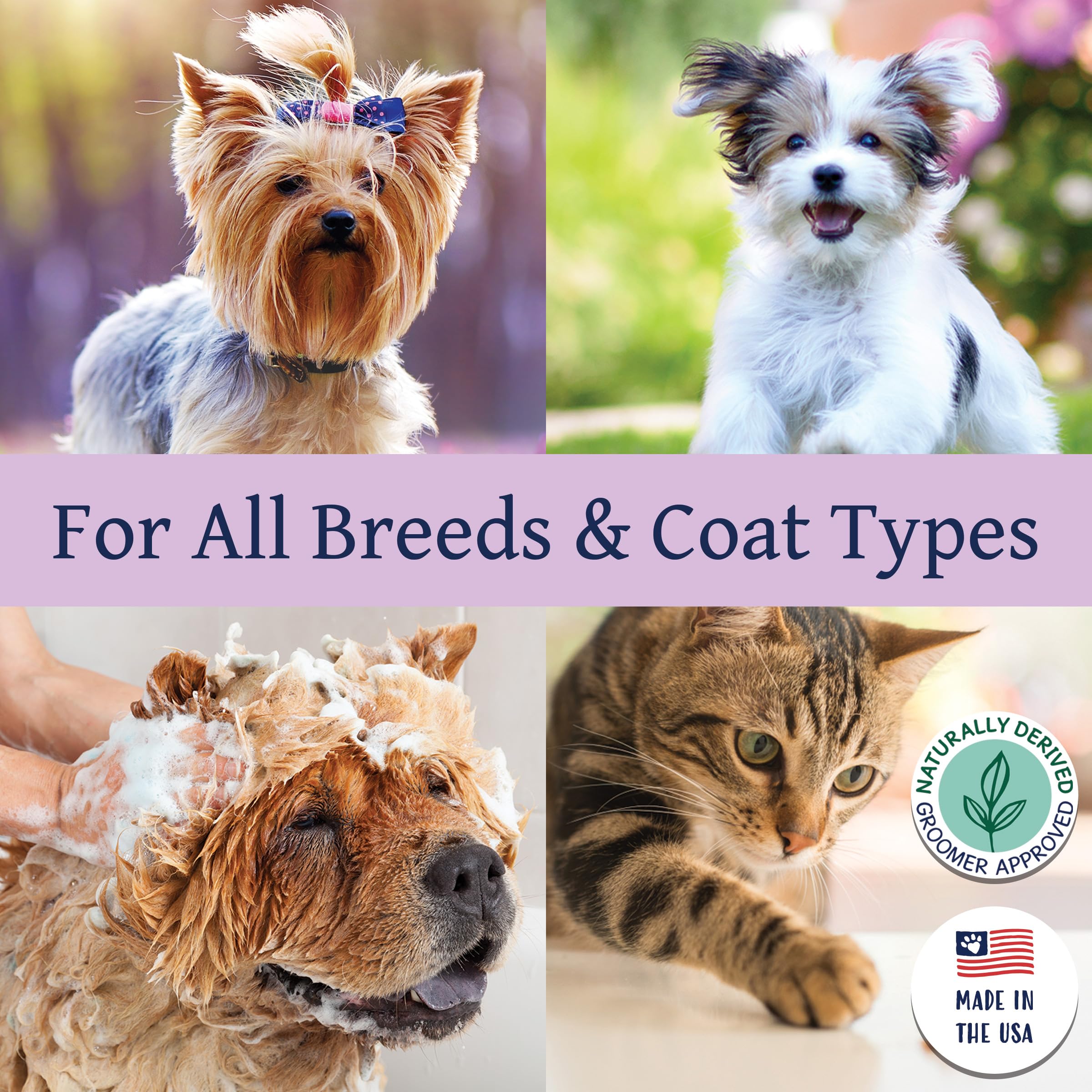 Bobbi Panter USA-made badge reflects trusted professional groomer choice
