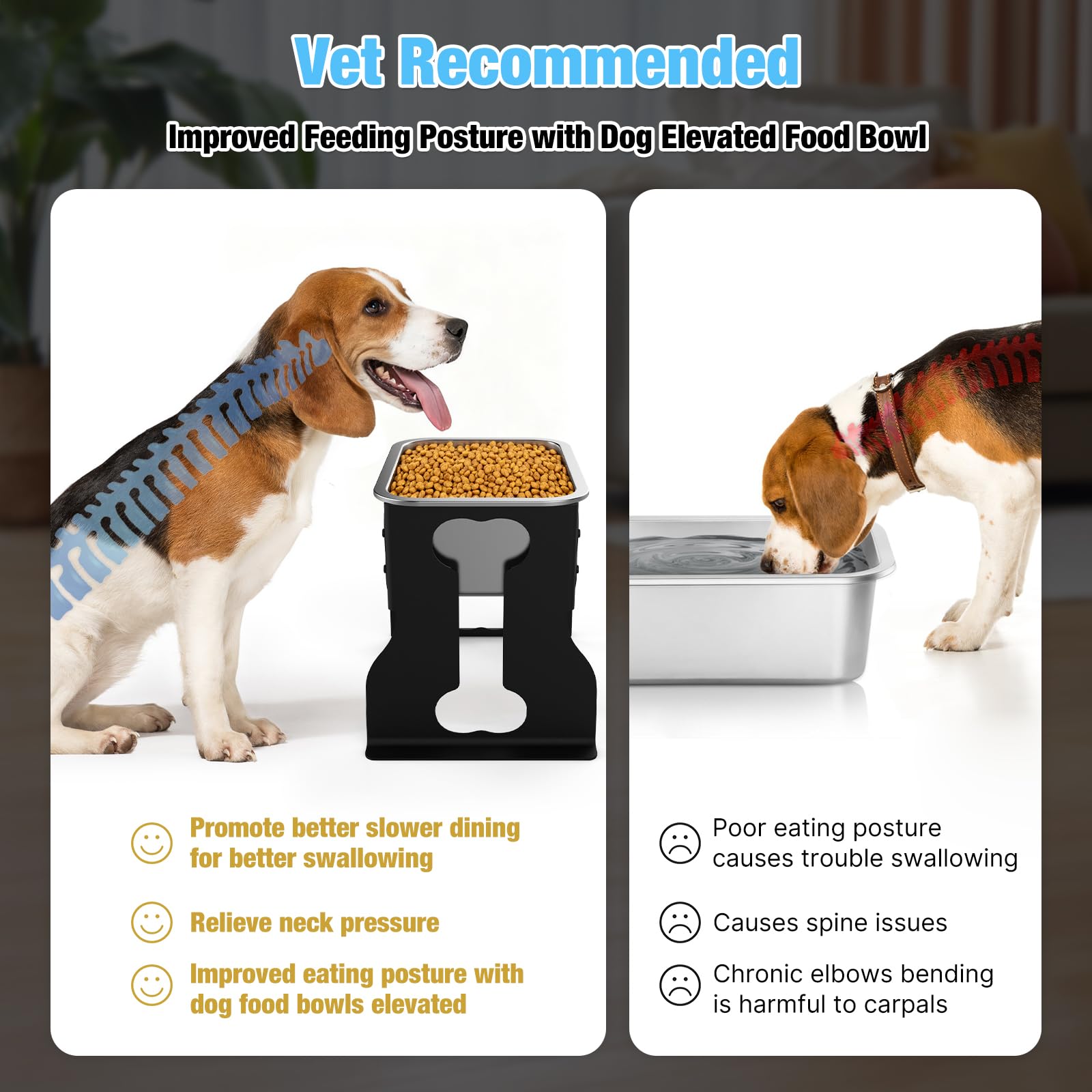 Bobbie & Laxi 10-inch raised dog bowl promotes posture-friendly drinking for small and medium breeds