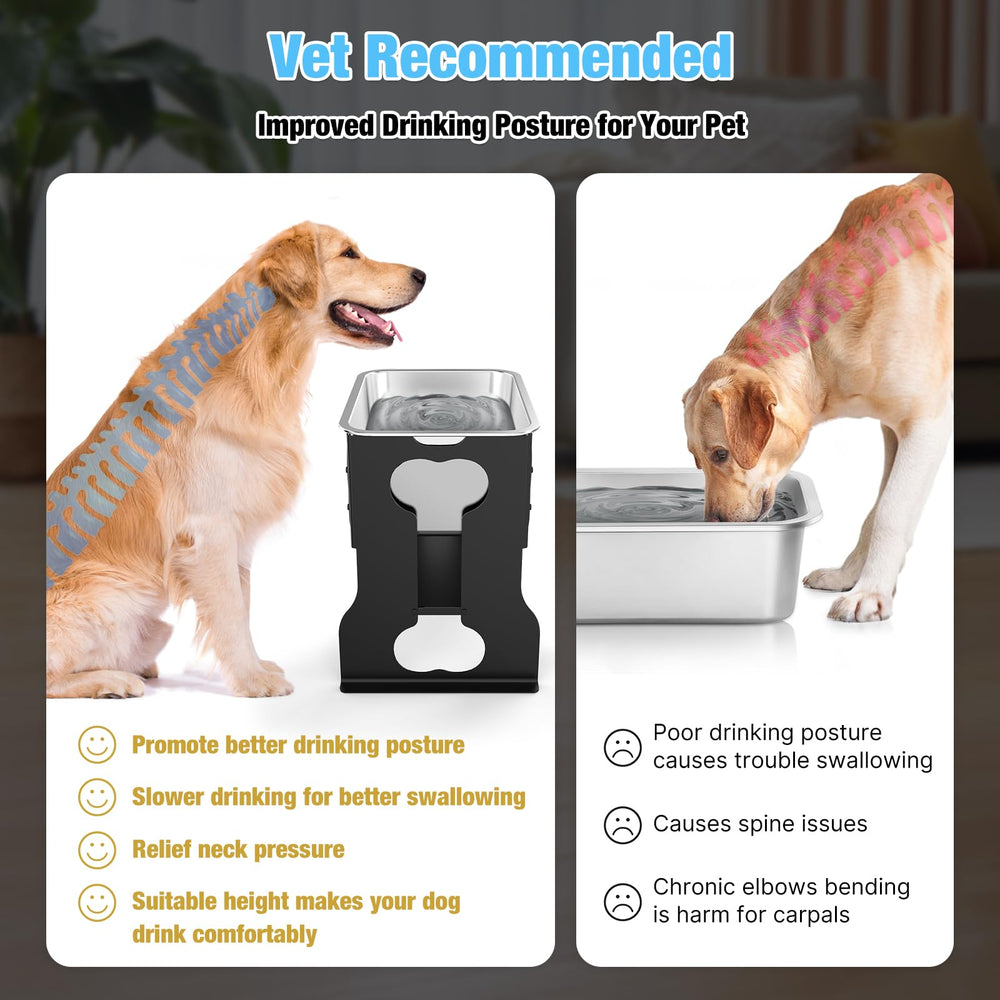 Bobbie & Laxi stainless-steel dog water bowl for hygienic, easy-clean drinking.