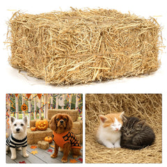 BobbleT Natural Wheat Straw bedding close-up texture showing soft natural fibers for cozy pet spaces.
