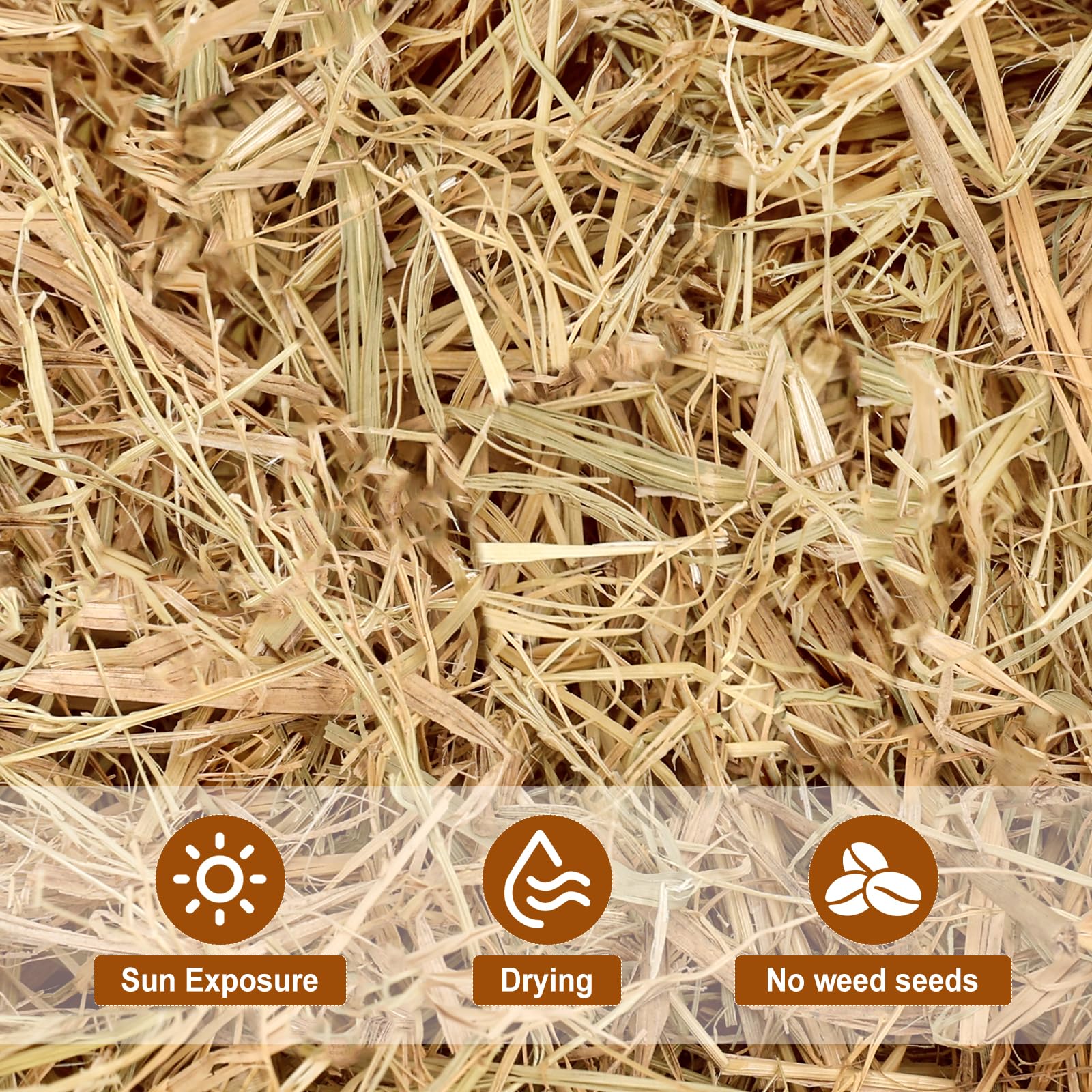 BobbleT straw mulch used in garden showing soil moisture and weed suppression.
