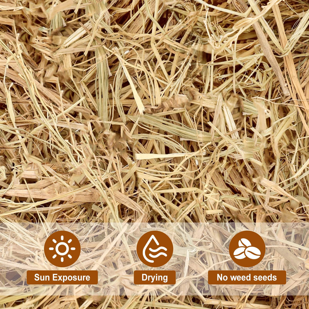 BobbleT straw mulch used in garden showing soil moisture and weed suppression.