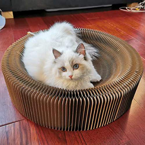 BobbyPet Cat Scratcher Lounge Bed cat-scratching-action for furniture protection