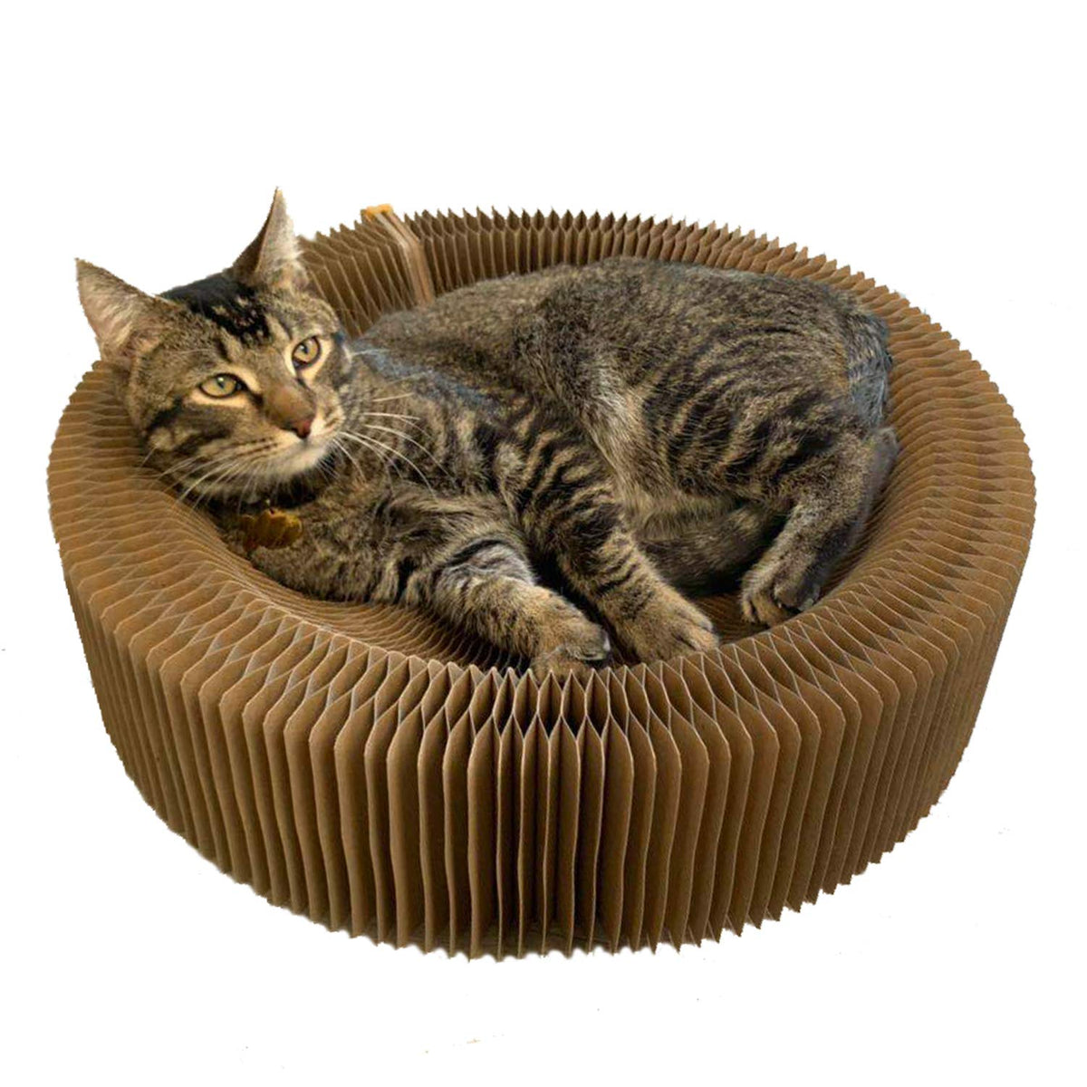 BobbyPet Cat Scratcher Lounge Bed folded for easy portability and storage