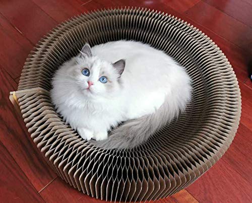 BobbyPet Cat Scratcher Lounge Bed recyclable-material emphasizes environmental concern