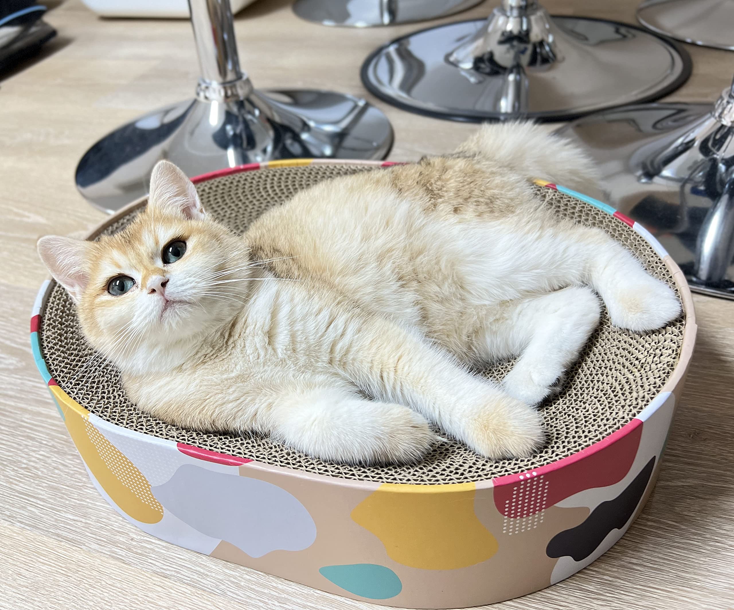 BobbyPet Cat Scratcher Lounge Bed side view demonstrates stability and space to stretch.