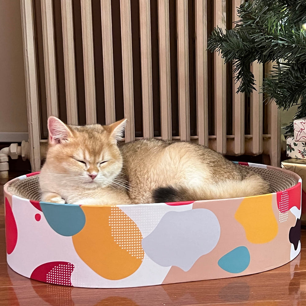 BobbyPet Cat Scratcher Lounge Bed packaging highlights easy setup and storage.