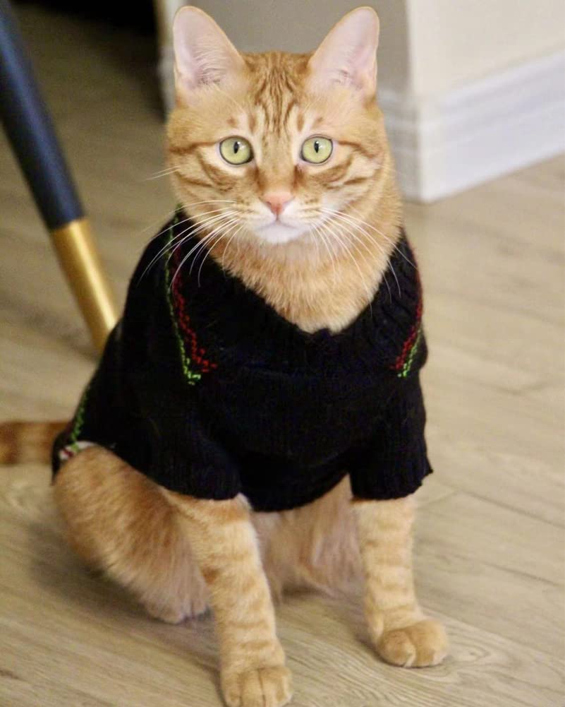 BOBIBI cat sweater neckline and hem detail demonstrates windproof warmth and secure fit