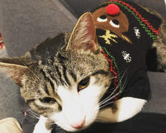 BOBIBI cat sweater size chart measurements to help choosing the right fit