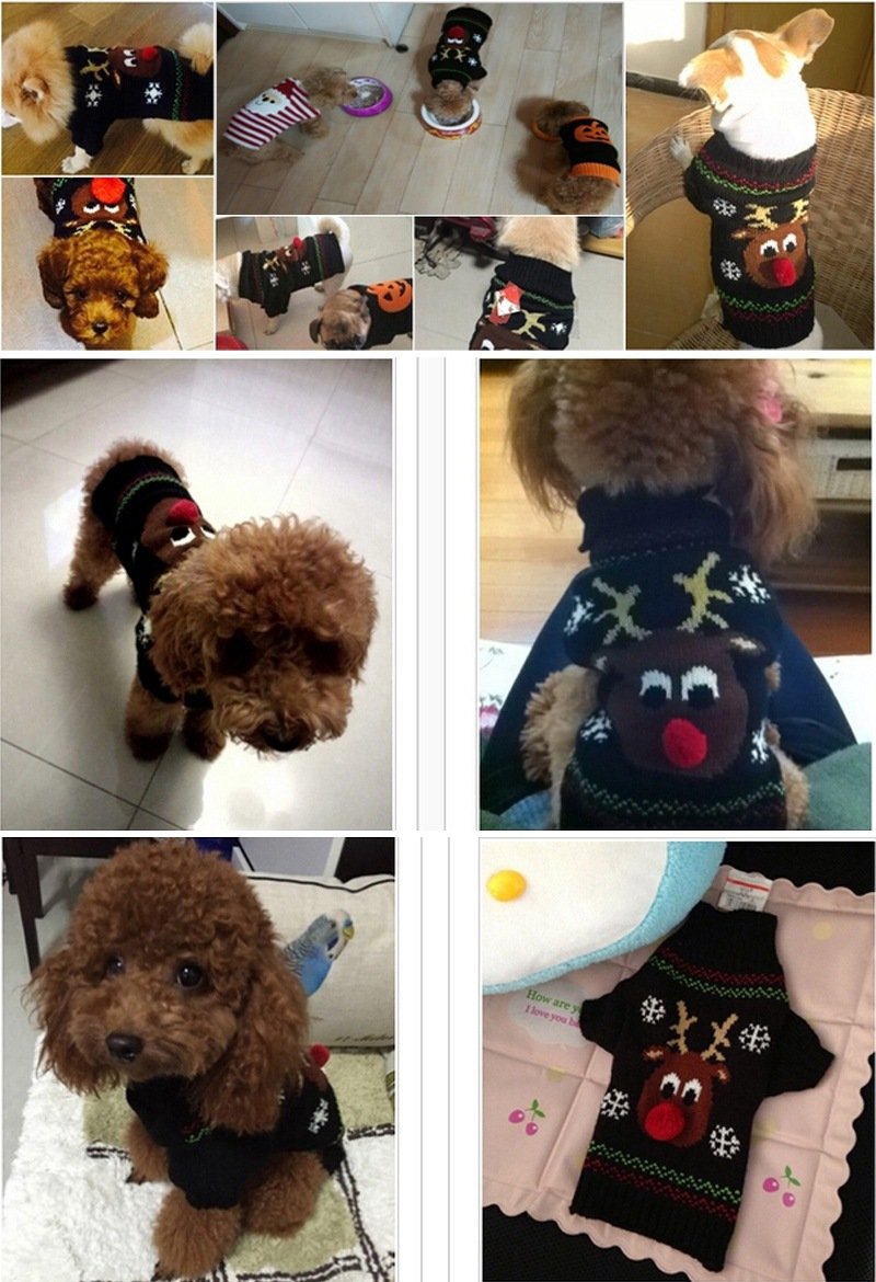 BOBIBI Christmas reindeer wear adds charm for festive photos