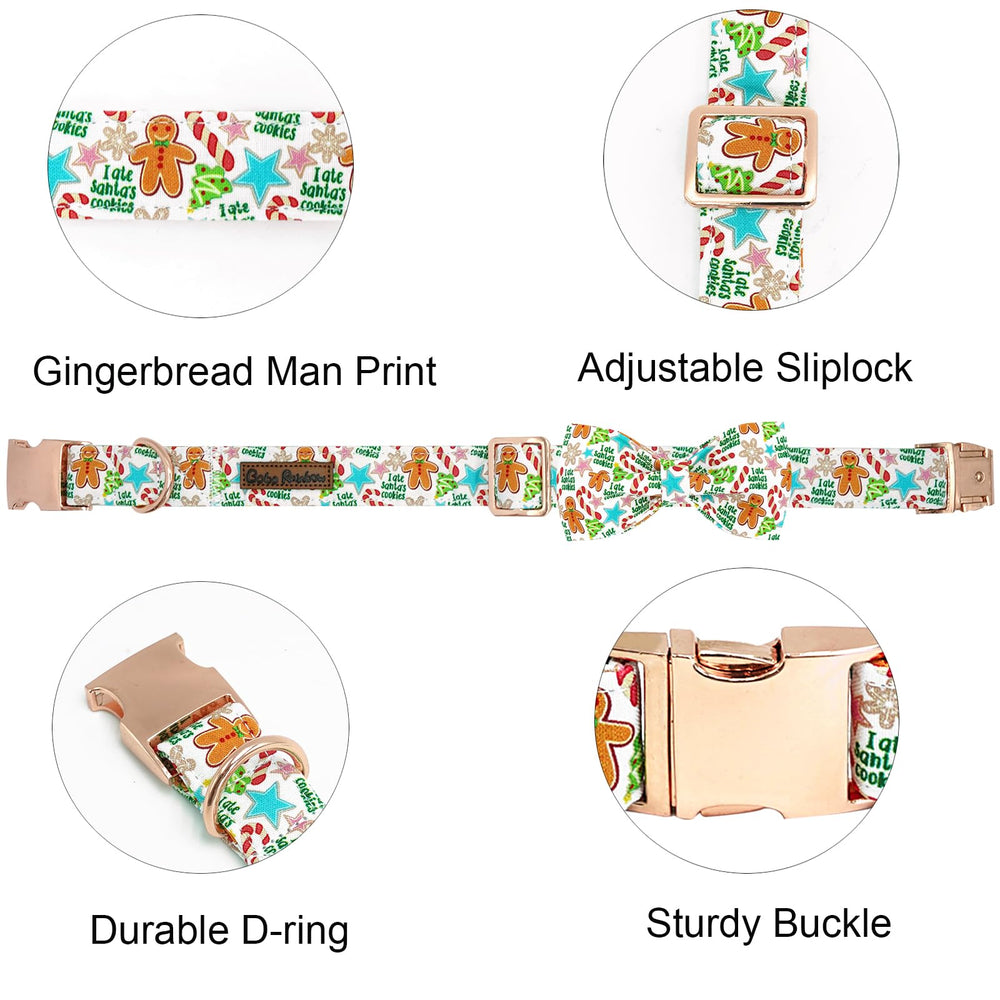 Bobo Rainbow Gingerbread Collar side buckle demonstrates adjustable fit for medium dogs.