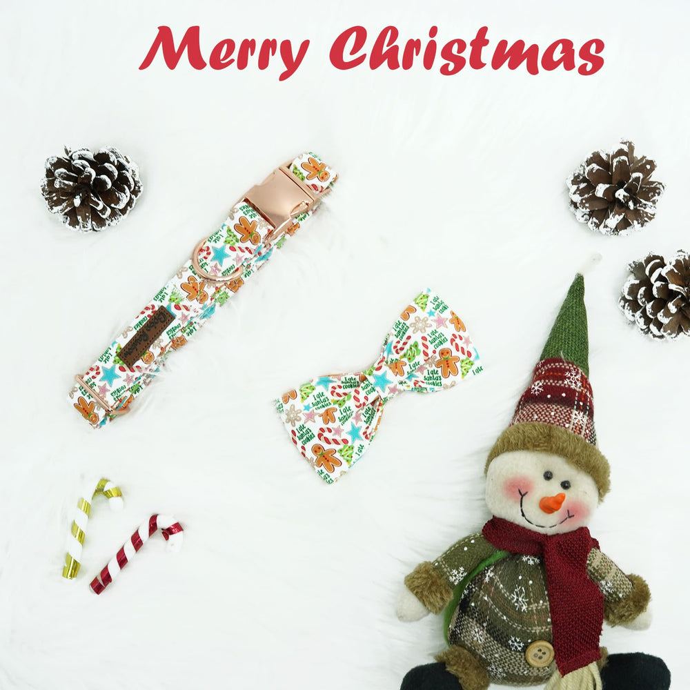 Bobo Rainbow Gingerbread Collar on dog illustrates durable metal buckle and D-ring.