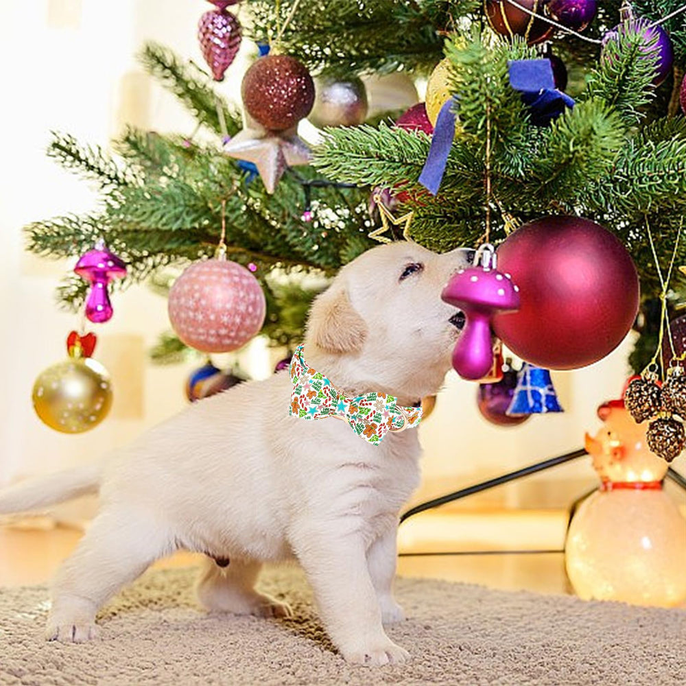 Bobo Rainbow Gingerbread Collar detail highlights festive gingerbread pattern and soft cotton.