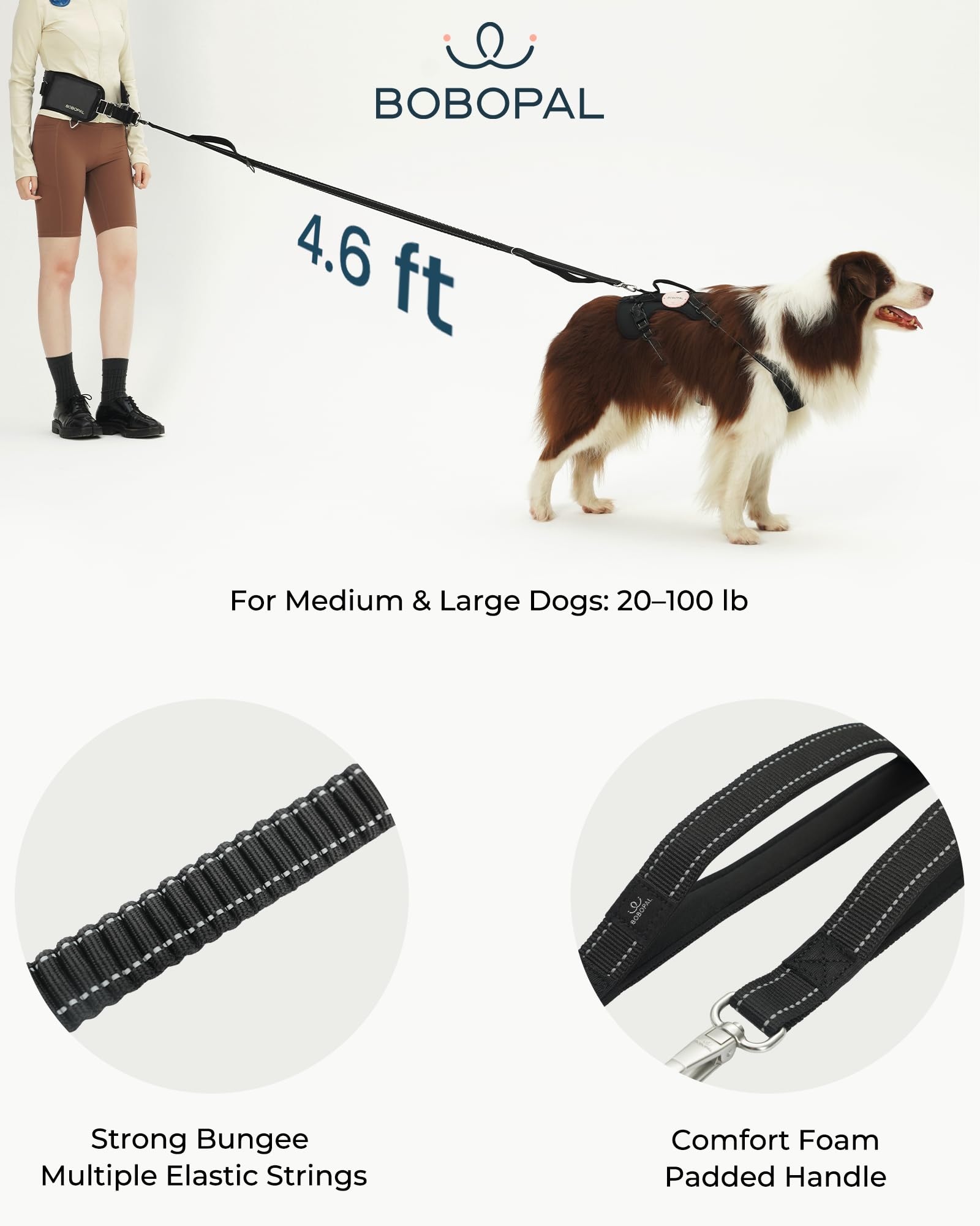Bobopal bungee shock-absorption reduces pulling during runs.