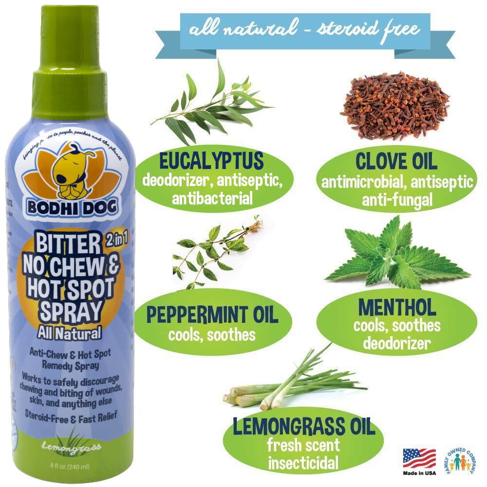 Bodhi Dog Bitter 2-in-1 spray in use during training routines