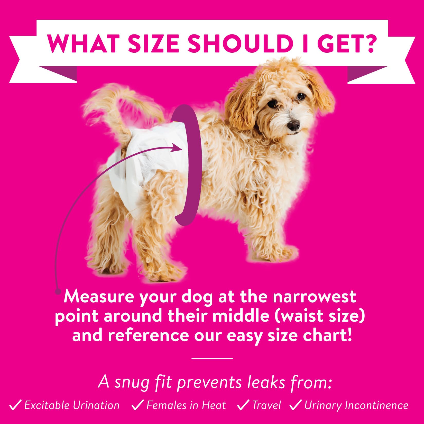 Bodhi Dog adjustable fasteners secure a snug small-breed fit.
