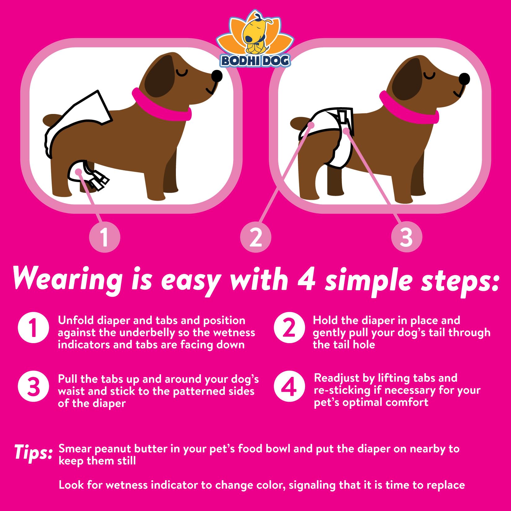 Bodhi Dog small-pack packaging ready for travel or home use.