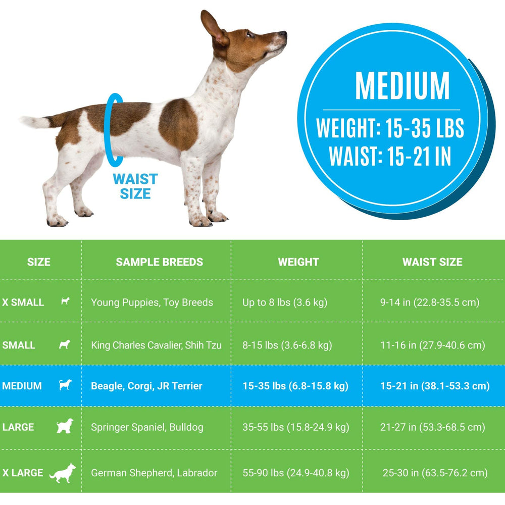 Bodhi Dog disposable male diapers medium wetness-indicator displays color change for easy monitoring.